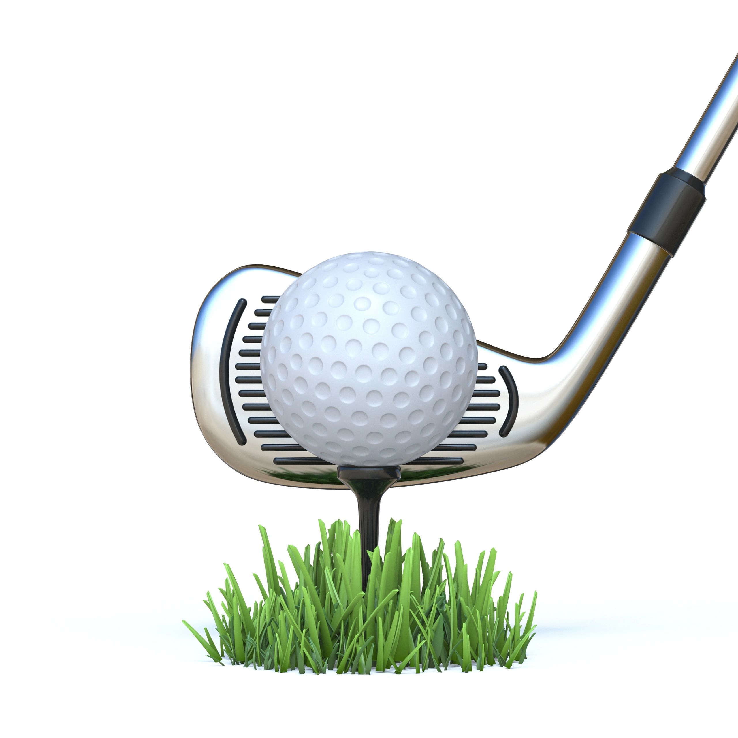 Golf club and ball detail