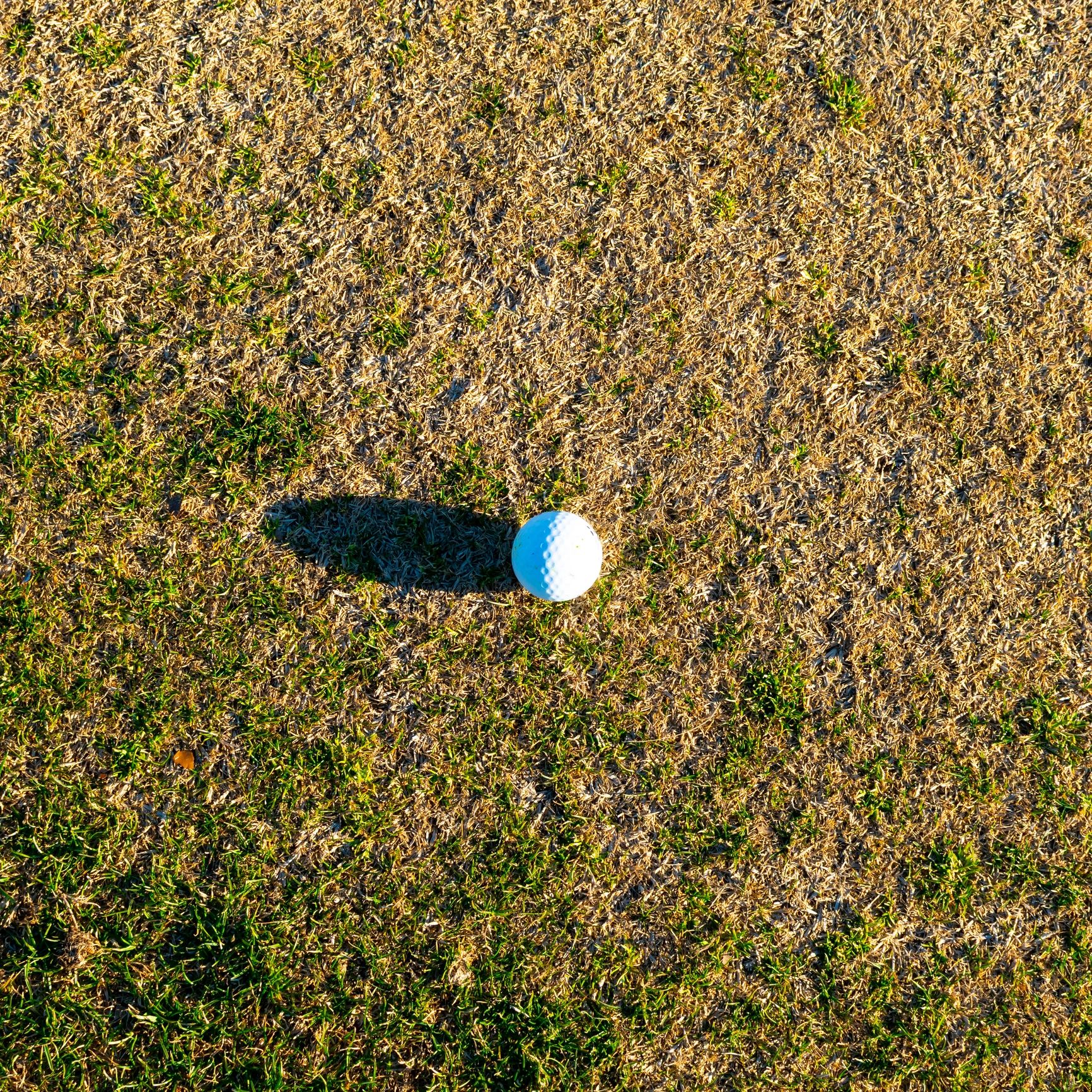 Golf ball resting in grass